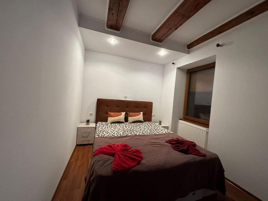 Iazi Apartament 브라쇼브 외부 사진