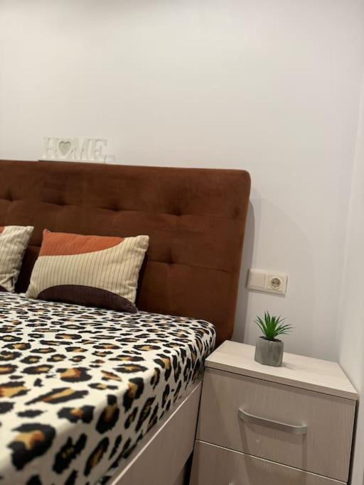 Iazi Apartament 브라쇼브 외부 사진
