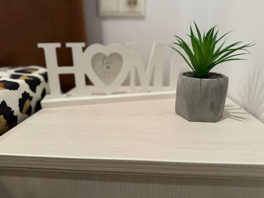 Iazi Apartament 브라쇼브 외부 사진